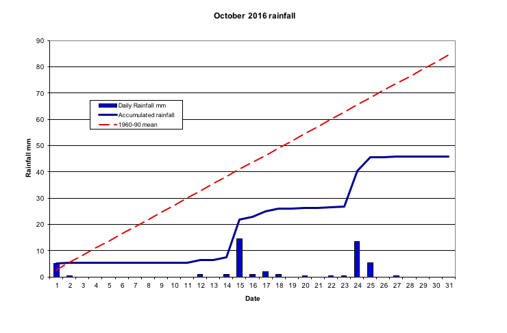  October 2016 rainfall