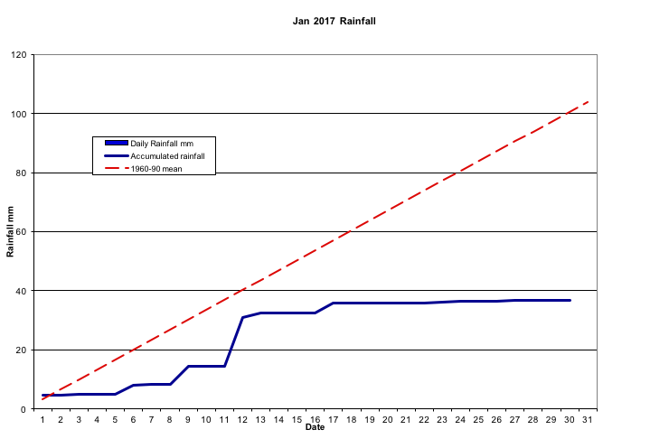 Jan 2017 Rainfall 